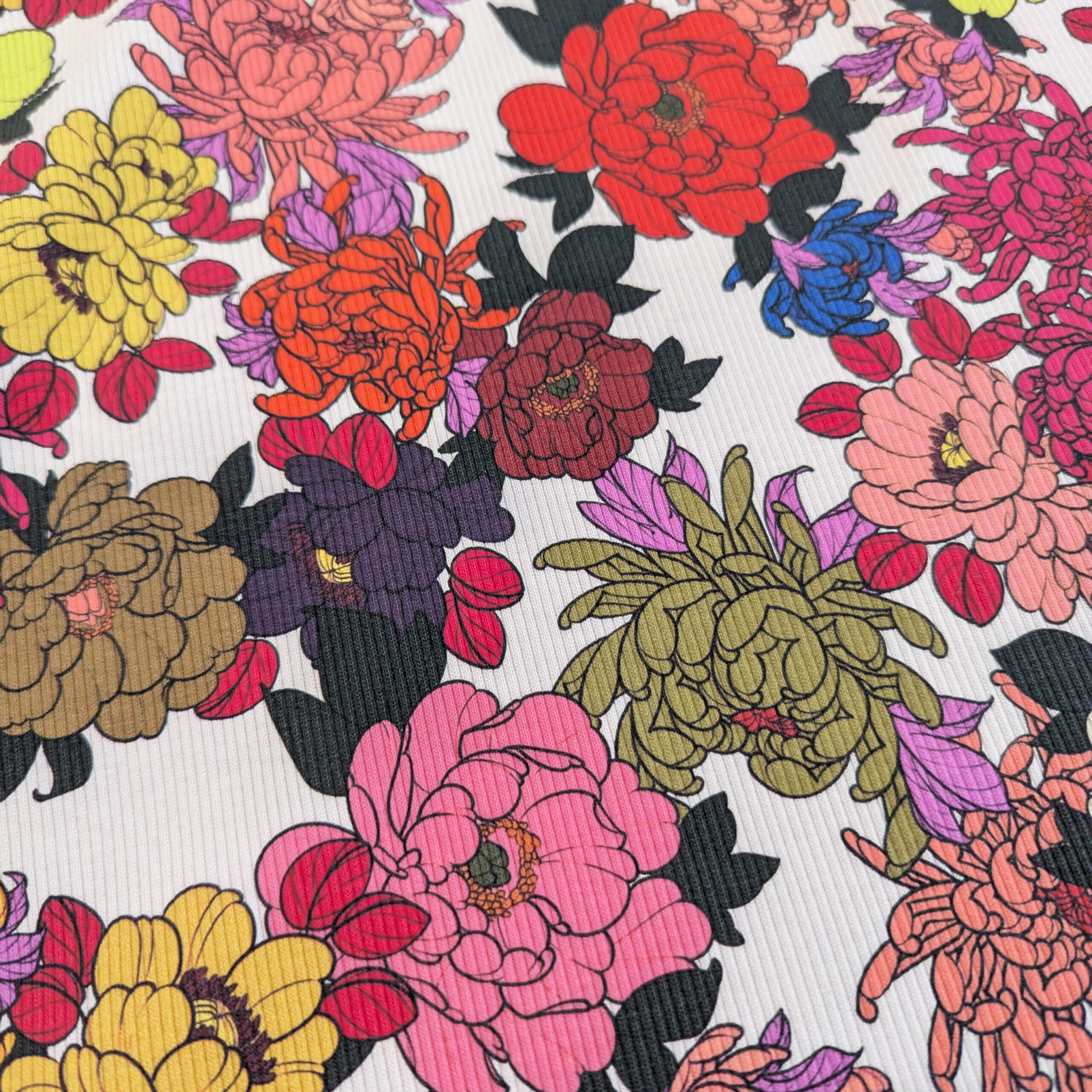 Jersey coton côtelé LOUISE rainbow